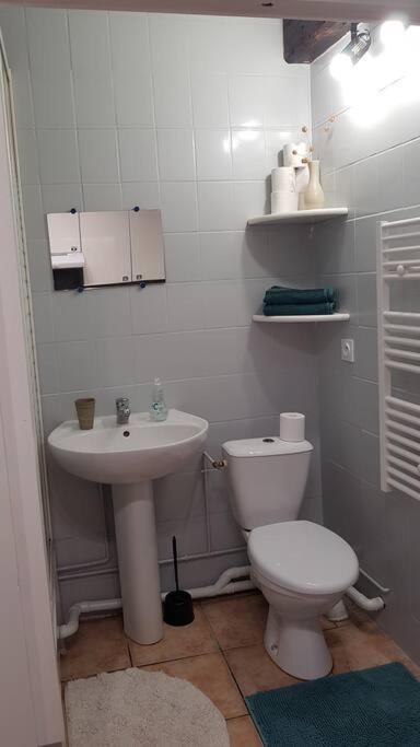 Studio Orleans Chatelet Exterior foto